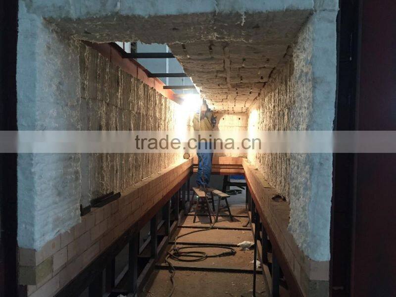 Trolley-type Bright Annealing furnace