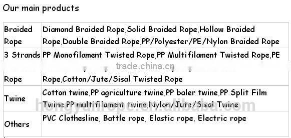 Hote sale PP Packing rope