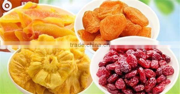 Electric motor orange drying oven/dry orange machine manufacturer