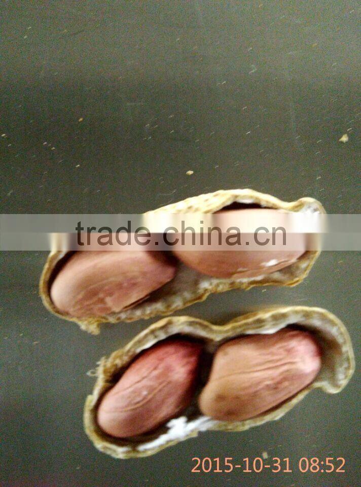 After-sales Service Provided peanut machine for sale