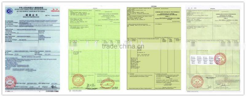 Low bone new bone china Turkey coffee cup coffee set golden design special shape