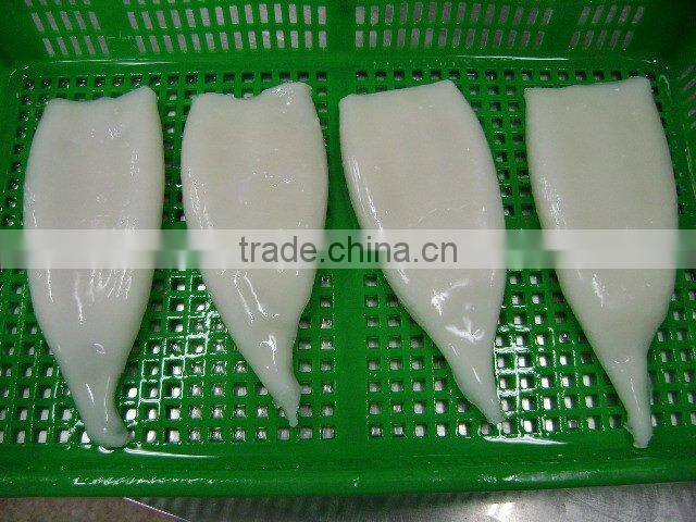 Frozen interleaved Squid Tube (todarodes pacificus)