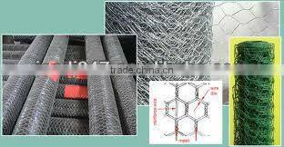 Galvanized Electric Welded Wire Mesh/Welded Netting