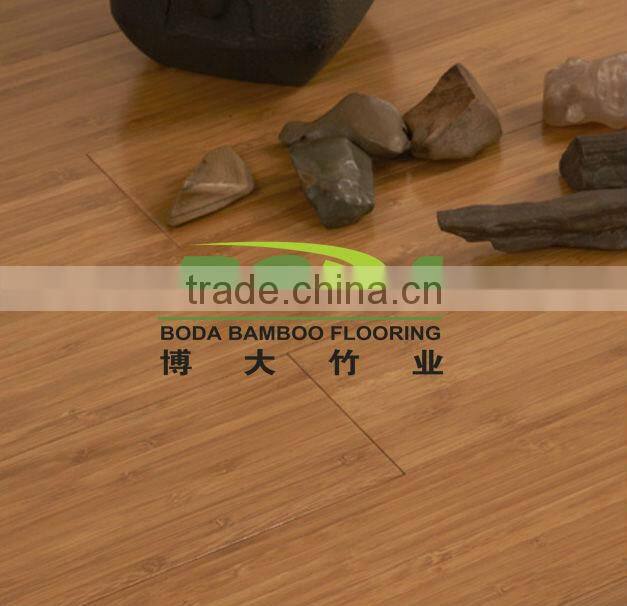 Beautiful Natura lBamboo Flooring