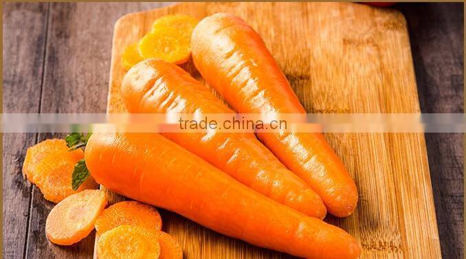 Agriculture Chinese fresh carrot