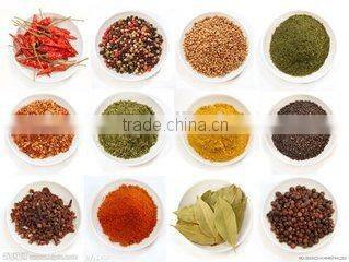 vacuum powder continuous dryer for cinnamon powder