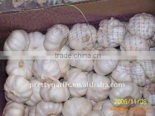 China garlic