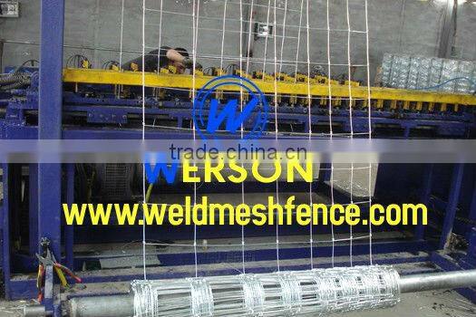 Hot Dipped Galvanized Field Fencing in 830mm, 1030mm,1500mm, 2000mm