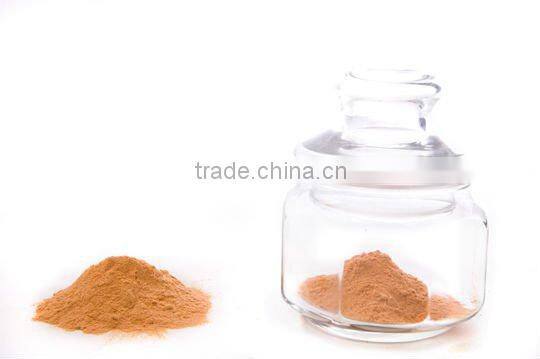 spray drying carrot powder