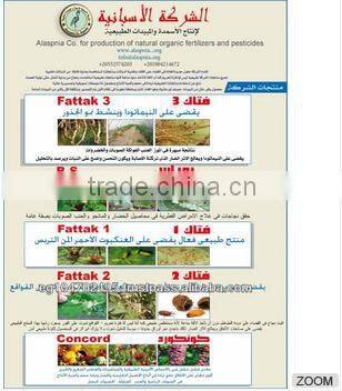 High Quality Egypt Stronger Liquid Organic Fertilizer and Strong Natural Liquid Organic Pesticides