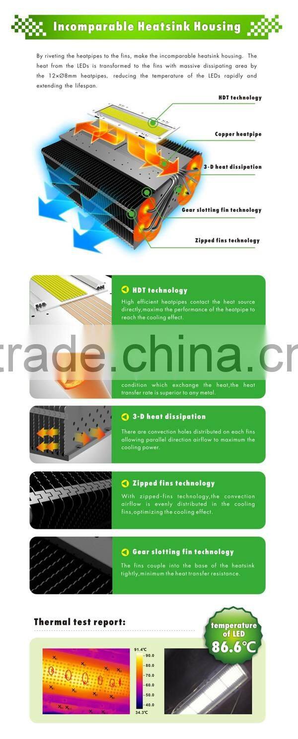 Most Powerful Outdoor IP65 1000 watt LED Flood Light for Stadium/Football Field/Tennis Court