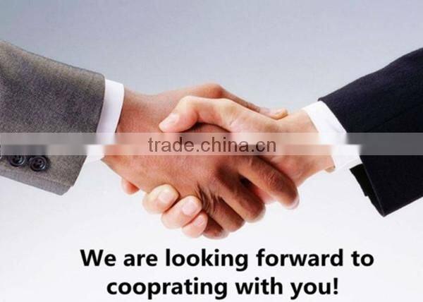 Chinese artificial grass for leisure carpet grass for home