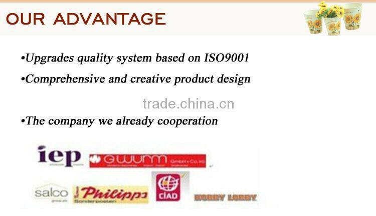 New arrival Jardin theme metal water bucket with hot selling