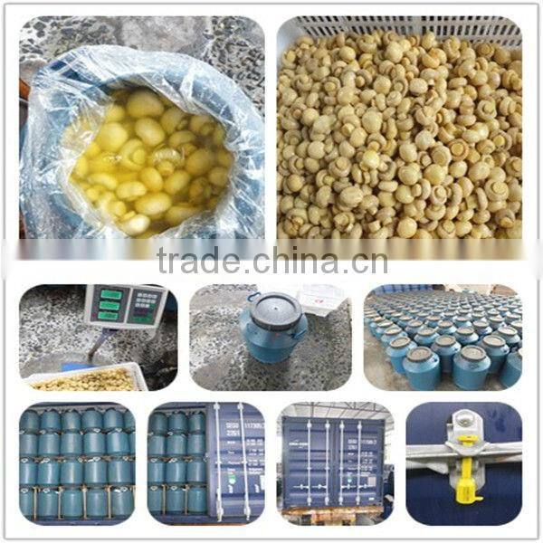 50kg fresh agaricus brazil mushroom