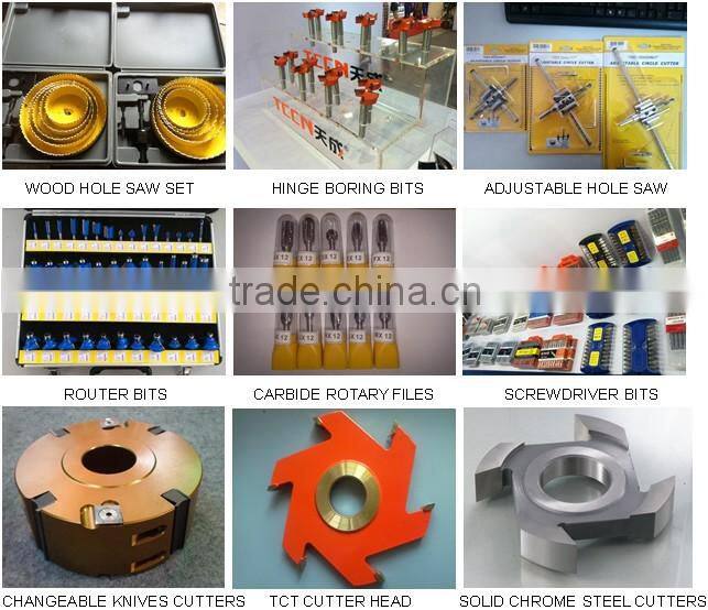 TC-020A 20PCS 12mm Shank TCT Router Bit Set In Wooden Box For Woodworking Tool