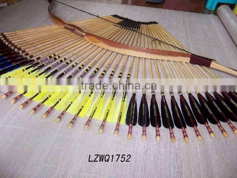 Feather Arrows LZWQ1764