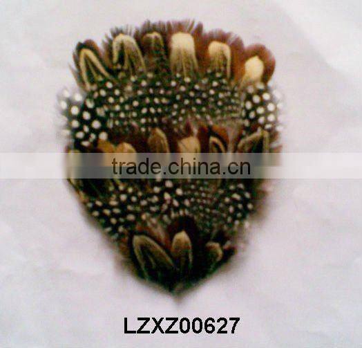 ringneck church window pad LZXZ00584