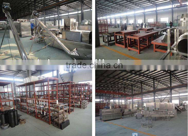 Enriched Nutritional Rice machine extruding processing line