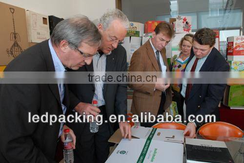 Kraft Paper Carton Box