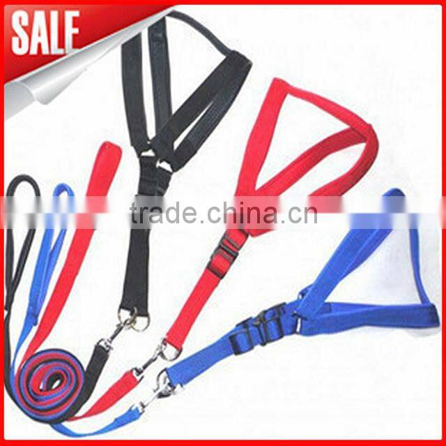 comfortable and humanity pet lead/pet collar
