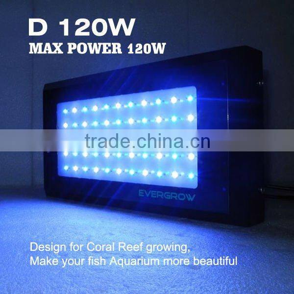 Evergrow d120 120w dimming led aquarium lights and dimmable 165 watt led aquarium lights