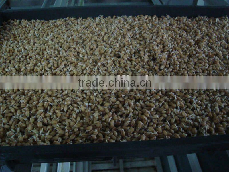 Bean /Wheat Seeding/Animal Fodder Machine