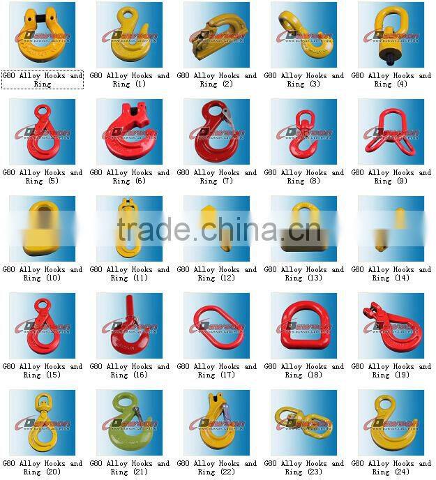 DS040 G80 Swivel Hook With Latch