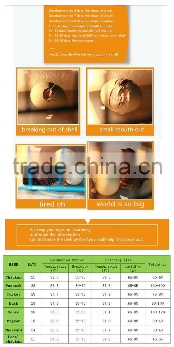 17000 eggs incubator/poulty husbandry equipment/hatcher machine