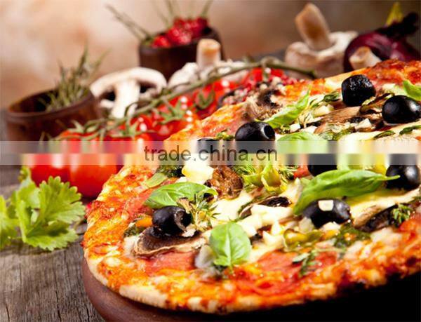 Chinese Auplex Ceramic Pizza Stone for kamado