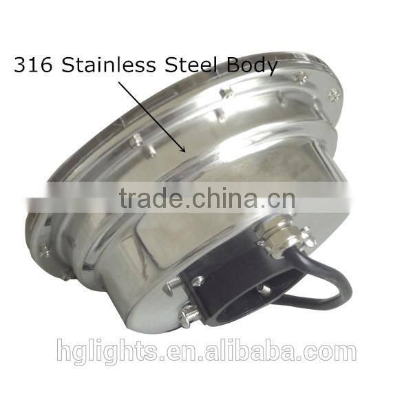 IP 68 (V4A)316 Stainless Steel LED Underwater Lights for fountain