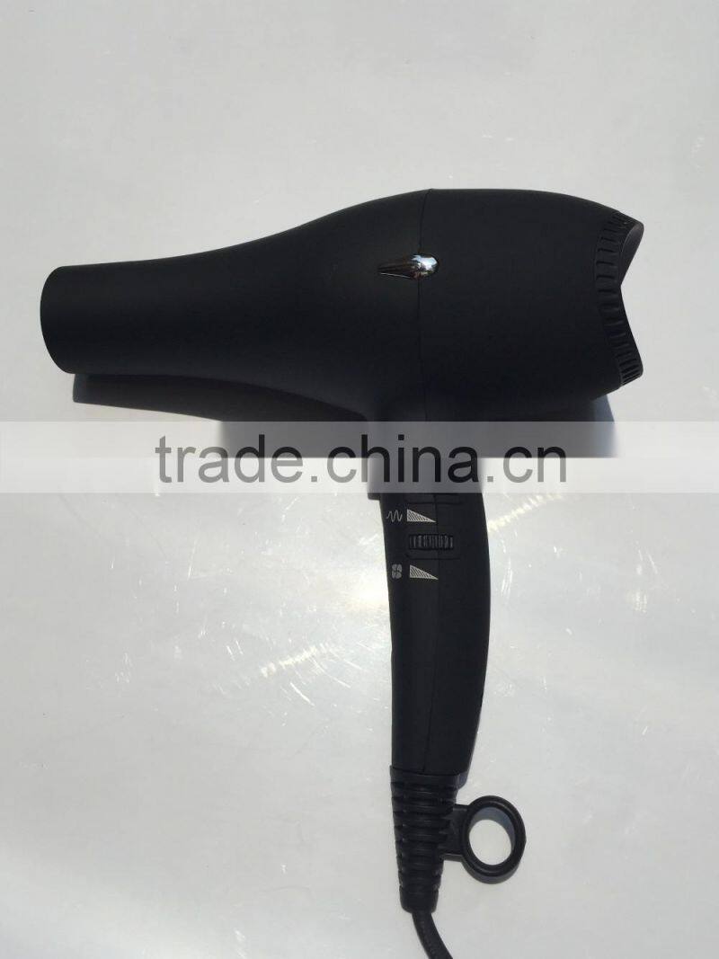 Salon Use Professional Hair Dryer Super Silent With AC Motor