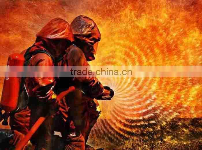 meta-aramid fabric/meta-aramid pants