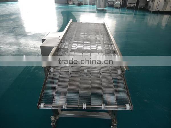 all kinds of conveyors