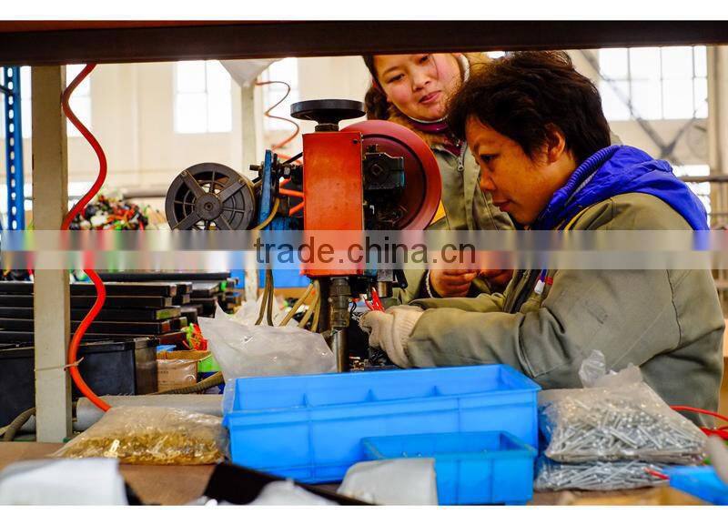 city bike lithium 36v 250w ebike battery