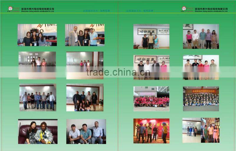 PVC insulated single core copper flexible wire 2.5mm