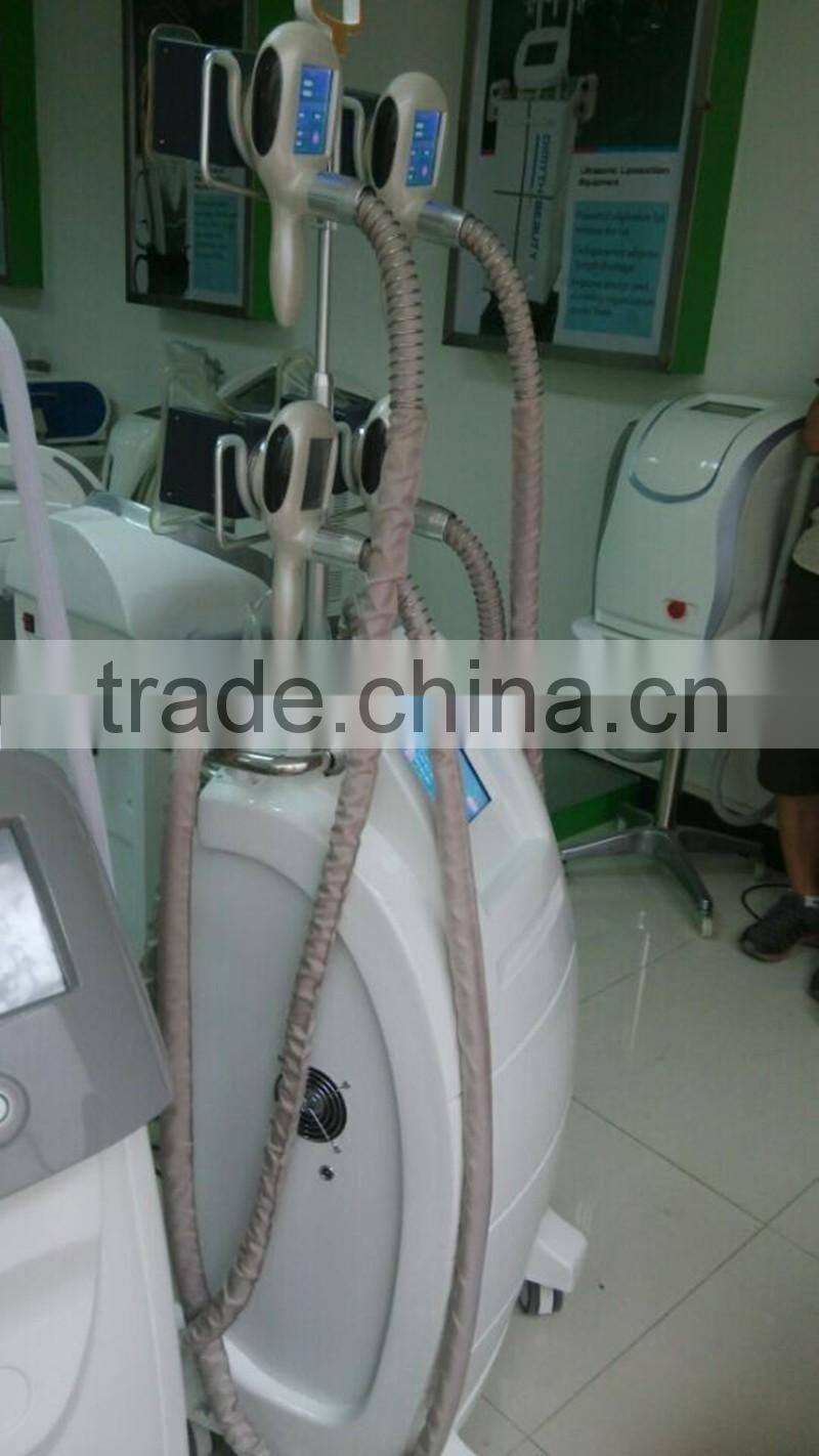 Wholesale cryo fat loss slimming