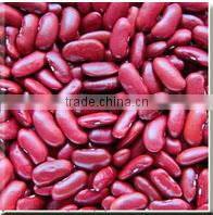Green Mung Bean with Best Quality