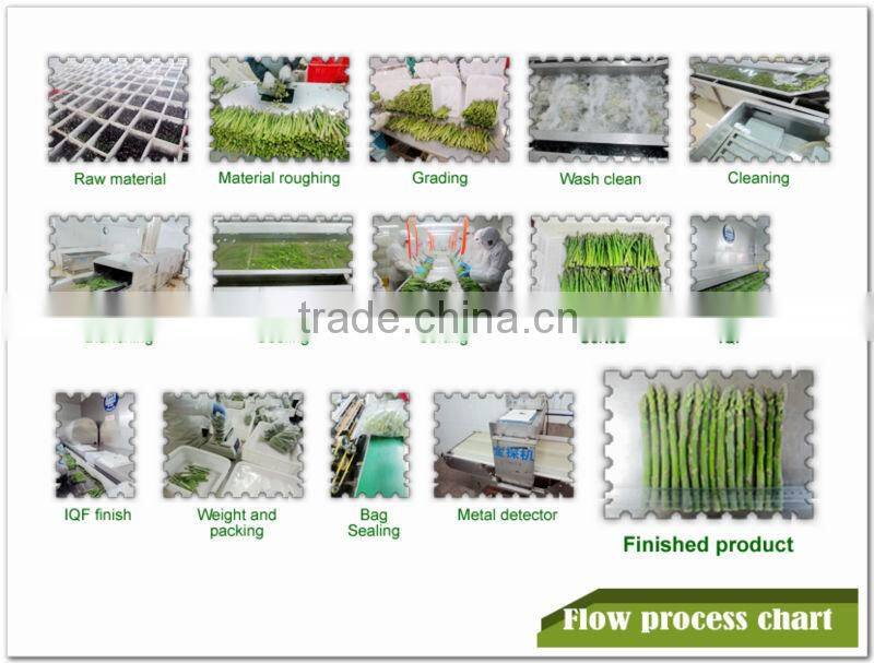 IQF Frozen sliced green onion spring onion