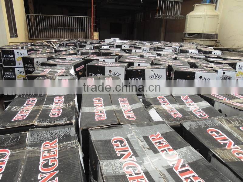 best quality fresh ginger 2016