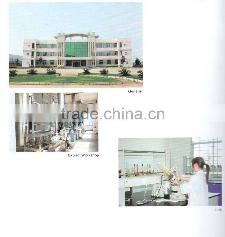 Sell 100% natural dried Kiwi extract Powder 5:1&10:1 with high quality