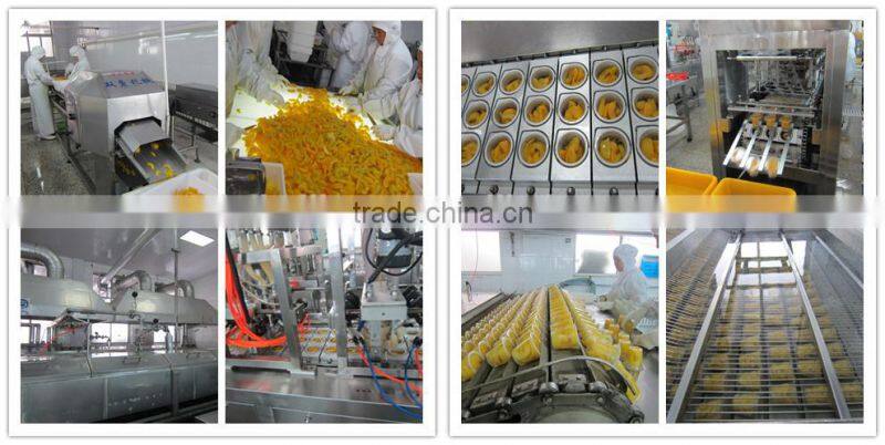 fresh peach in syrup sweet yellow peach