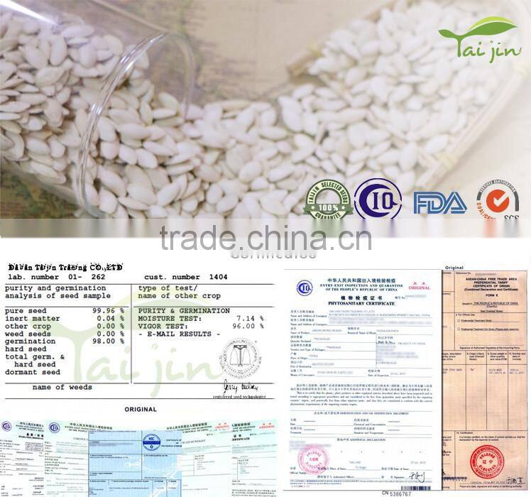 Chinese high quality pepitas pumpkin seeds