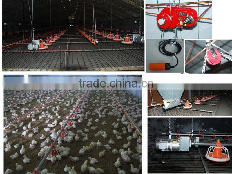 Professional manufacturer supply automatic chicken broiler poultry house equipment