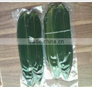 fresh bamboo leaves leaf