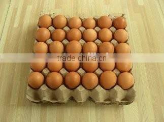 Egg Tray Making Machine /Small Egg Tray Machine/Egg Tray Manufacturing