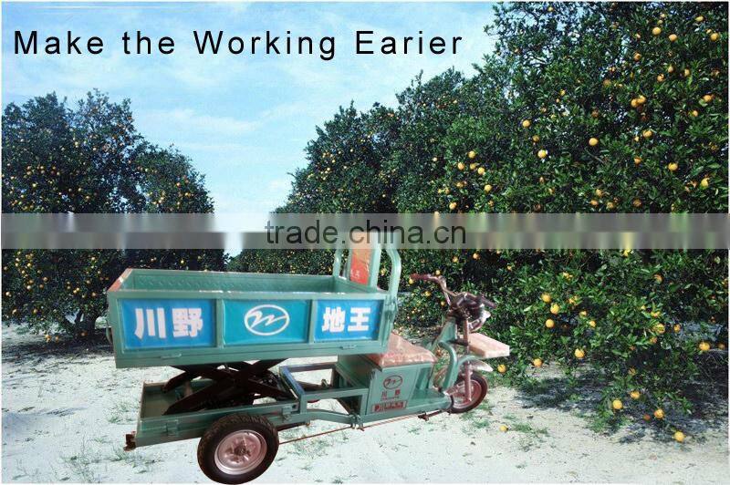650W farming electric cargo box tricycle for orchard grove