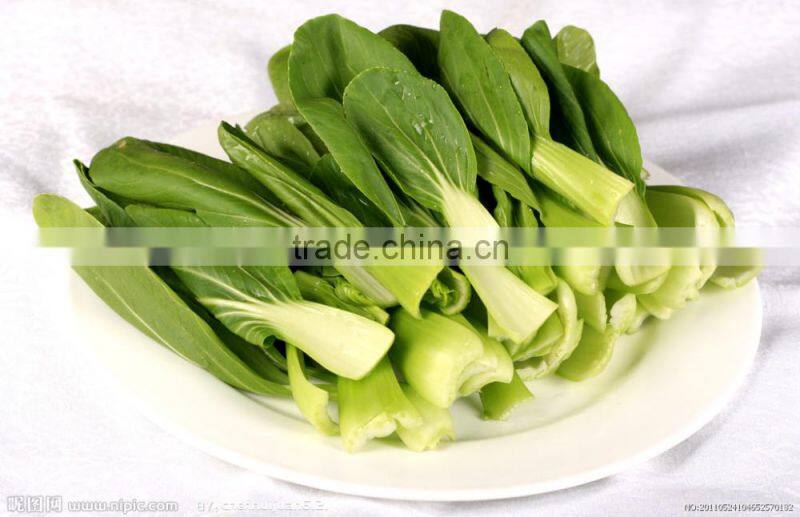 Taiwan Teemyeah TW-406 Efficient Continuously Vegetable Washing Machine