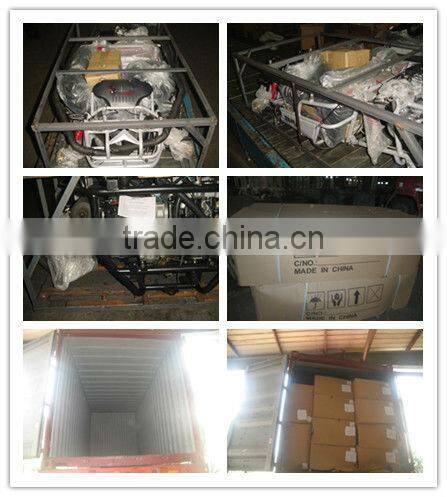 fashional 250cc adult dune buggy