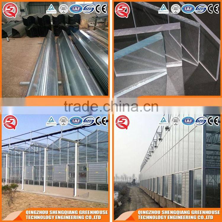 Factory outlet Wide Multi span glass agricultural Greenhouses