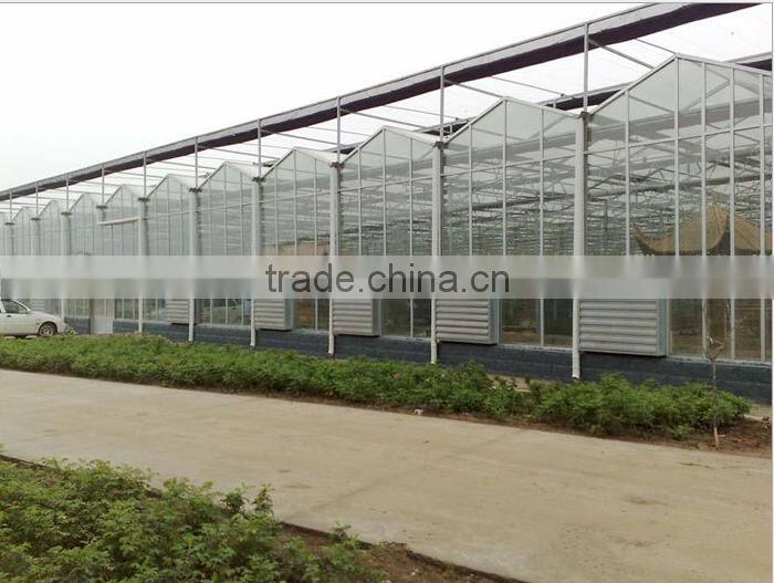 2016 new commercial used greenhouse